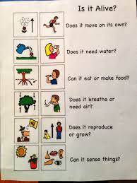 This Is An Example Of A Useful Chart That Children Can Reference When Determining If Something Is A First Grade Science Elementary Science Kindergarten Science