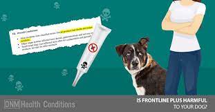 Check the weight recommendations on the package and get a dosage appropriate for your pet's weight. Is Frontline Plus For Dogs Harmful