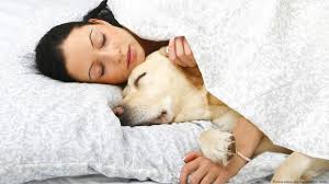 دراسة: النساء يفضلن الحيوانات الأليفة على الرجال في السرير! – DW –  20181210