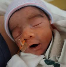 Looking at doing a non-traditional wedding gathering with family at the  lodge at black rapids next fall. We would like to hire a photographer for a  few hours anyway but don't have