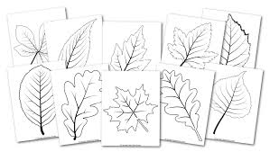 Check spelling or type a new query. Free Printable Large Leaf Templates Stencils And Patterns