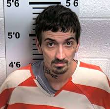 Taking a Bite out of Crime