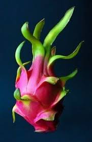 Dragon Fruit Dragon Fruit Beautiful Fruits Dragon Fruit Benefits
