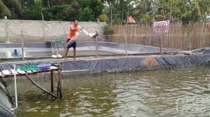 Pin Di Rintan Berbagi