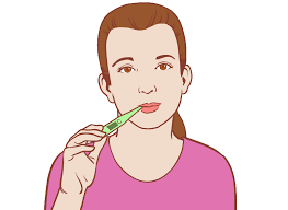 Free Free 146 Family Planning Svg SVG PNG EPS DXF File
