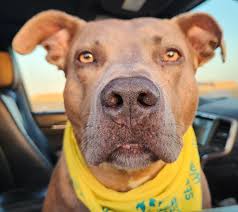 Nampa, Idaho, Scenic Views and Animals