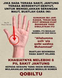 Bagaimana tidak, jantung merupakan salah satu organ vital yang bertugas memompa darah ke seluruh tubuh manusia. Jaga Badan Petua Mudah Merawat Serangan Jantung Facebook