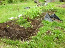 No Till Lasagna Bed Gardening Easy Peasy Lasagna Gardening Easy Garden Beds Thriving Garden