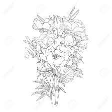 Maybe you would like to learn more about one of these? Vector Drawing Bouquet Of Flowers Floral Composition Hand Drawn Illustration Royalty Free Cliparts Vectors And Stock Illustration Image 124285279