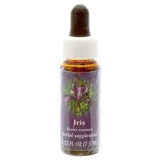 Iris Flower Essence Flower Essence Services