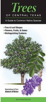 We did not find results for: Trees Of Central Texas Quick Reference Publishing