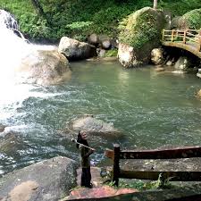 Check spelling or type a new query. Hutan Lipur Bukit Hijau