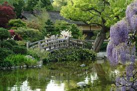 Sketch In The Hakone Gardens In Saratoga Japanese Garden Japanese Garden Landscape Japanese Garden Design