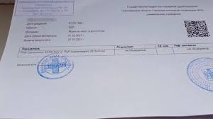 Покажет, болен ли человек или является носителем вируса. V Fsb Zaderzhali Prestupnikov Prodavavshih Falshivye Spravki S Otricatelnymi Pcr Testami Trk Zvezda Novosti 29 03 2021