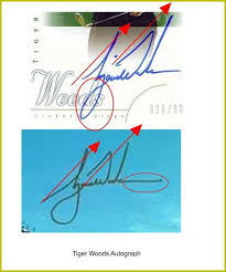 Tiger Woods Signature Great Hand Eye Coordination Seen In The Careful Placement Of Letters To Baseline Check Out My Handwriting Analysis Handwriting Analysis