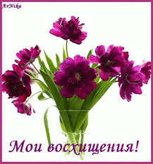 Прикольные картинки Восторга и восхищения 67 фото