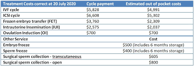 The results of this health examination can determine the cause of the disorder and can help the doctors find a way to address. Ivf Cost Dubai How Much Do You Have To Pay For Ivf