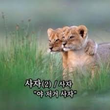 더쿠 - 살까말까할때 이 짤 쫌 먹히는 듯 ㅋㅋㅋㅋ 써보라궁