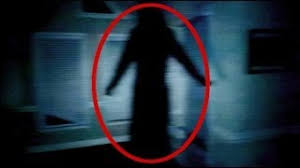 You can also rent or buy it. The Poltergeist Diaries Movie Indiegogo