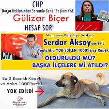 Uskudar Hayvan Haklari Platformu Posts Facebook