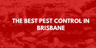 Search 116 brisbane pest control services to find the best pest control service for your project. The Best Pest Control Services In Brisbane Local Legends