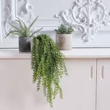 Plante Tombante Artificielle Vert H94cm Alinea En 2020 Plante Tombante Plantes Artificielles Plantes Grasses