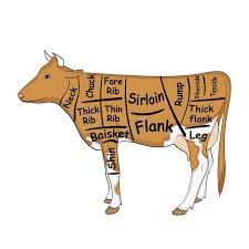 Simmental Cow Stock Illustrations 14 Simmental Cow Stock