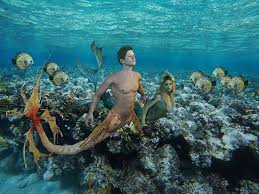Painting the ocean is the most common subject for beginners and has served an inspiration for countless famous paintings of the world. Mermaid Water Painting Underwater Ocean Sea Waters Tropical Coral Piqsels