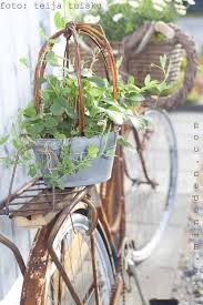 Pin Von Simone Schroder Auf Garten Garten Kleiner Garten Fahrrad