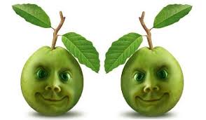 Main Name Guavas Biological Name Psidium Guajava Names In Other Languages Guayaba Spanish Goyave French Guava Benefits Health Benefits Guava Nutrition