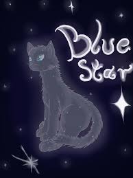 We did not find results for: Warrior Cats Bluestar Nes Illustrations Art Street