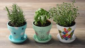If not yet, you will find some ideas in this article today. 3 Diy Flower Pot Ideas To Perk Up Your Planters Youtube