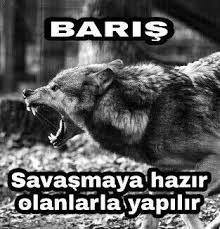 Baris Savasmaya Hazir Olanlarla Yapilir Savastan Ve Mucadeleden Kacan Insanlar Toplumlar Ezilir Kolelestiril Hayvan Fotografciligi Vahsi Hayvanlar Hayvan