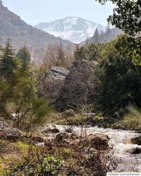 Ordered fatte in homos along with eggs & tea. Youhannazn In Lebanon In A Picture