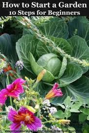 So Starten Sie Einen Garten 10 Schritte Zum Gartnern Fur Anfanger Mit Bildern Garten Anlegen Kreative Garten Ideen Garten