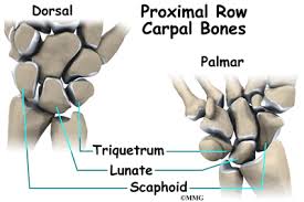• a complex composed of a fibrocartilaginous disc & multiple interlinked ligamentous structures. Triangular Fibrocartilage Complex Tfcc Injuries Eorthopod Com