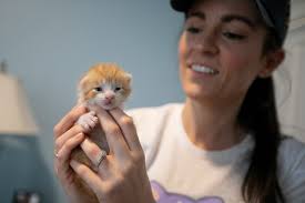 Community garage sales return with German Village event