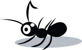 At domyown.com, we have the best pest control products the pros use, plus supplies to help people get rid of insects and pests all on their own. All Pro Pest Control Inc Contractor Santa Clarita California Facebook 586 Photos