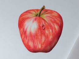 When most people hear green apple, they assume that the majority of color will be green. Apple Beginners Botanical Coloured Pencil Drawing Online Course The Old Kennels
