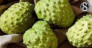 Found 2 sentences matching phrase buah nona.found in 0 ms. Effect Of Pre Treatment Methods On In Vitro Seed Germination Of Bullock S Heart Annona Reticulata L Scialert Responsive Version