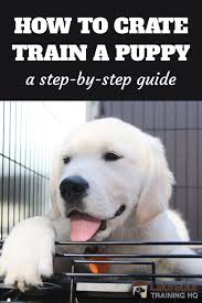 How To Crate Train A Puppy Day Night Even If You Work 2020 In 2020 Puppy Training Crate Training Crate Training Puppy