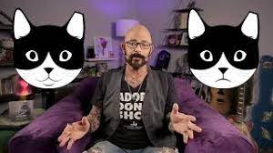 Your cat is so perfect that it hurts. The Do S And Don Ts Of Introducing Cats To Each Other Jackson Galaxy