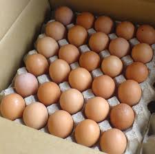 We did not find results for: Abang Teloq Grade A Telur Harga 10 Rekomendasi Tempat Makan Seblak Enak Di Surabaya Yuk Kita Bahas Bahan Dan Prosesnya Kelinci