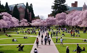 University Of Washington Seattle Campus Tuition
