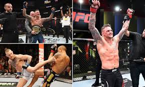 Storylines to keep an eye on entering ppv card on fight island these are the key storylines that will be prevalent on saturday as the ufc presents. Am2cn2vrma5uhm