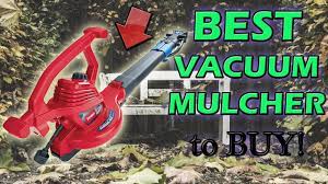 Best Leaf Vacuum Mulcher 2020 Wet Leaves Rocks Gone Best Vacuum Vacuums Mulching