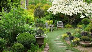 My Instagram Account Was Hacked Linda Vater Youtube In 2020 Hydrangea Tree Cottage Garden Backyard Entertaining