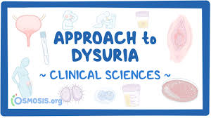 Image result for Dysuria