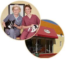 Call and make an appointment now. Whole Pet Veterinary Clinic Madison Wi About Us