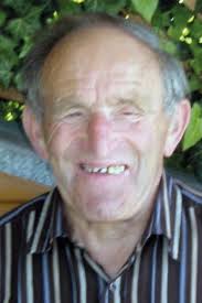 Bezirk Freistadt Archive